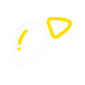 liver
