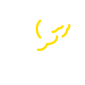 pancreas