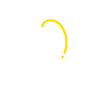 stomach