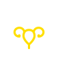 uterus